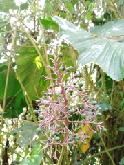 © jorgeluispaez, some rights reserved (CC-BY-NC)