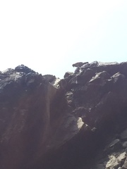 Cinclodes taczanowskii