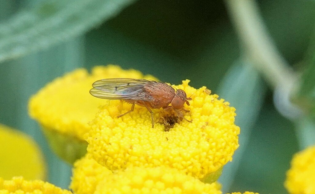 from South Riverdale, Toronto, ON, Canada on August 5