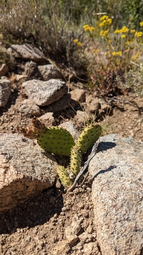 Duncan Spring Trail
