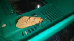 Spilarctia postrubida