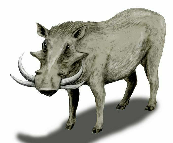 Giant Warthogs