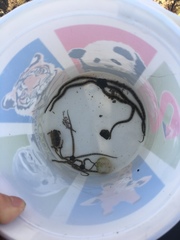 Cycloxanthops novemdentatus