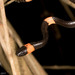 Snail-eating Thirst Snake - Photo (c) Chris Harrison, some rights reserved (CC BY-NC), uploaded by Chris Harrison