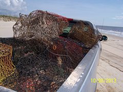 Kinosternon subrubrum subrubrum