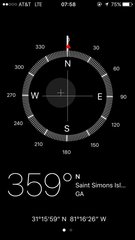 Malaclemys terrapin centrata