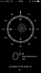 Malaclemys terrapin centrata