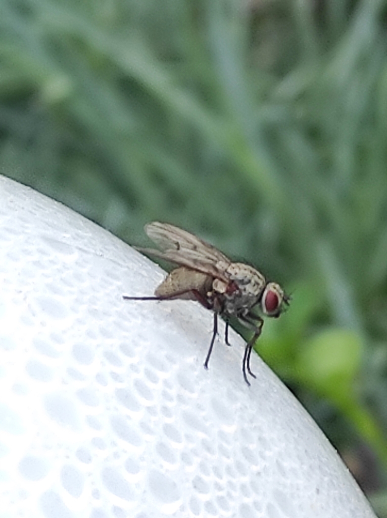 Helina from 80-680 Gdańsk, Polska on August 14, 2023 at 06:24 PM by ...