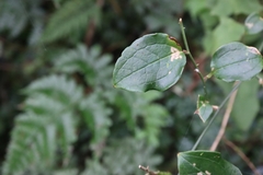 © sandy-huiping, some rights reserved (CC-BY-NC)