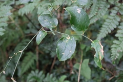 © sandy-huiping, some rights reserved (CC-BY-NC)