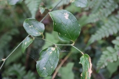 © sandy-huiping, some rights reserved (CC-BY-NC)