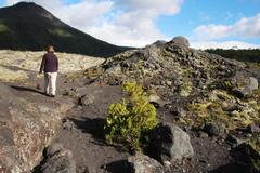 Austrocedrus chilensis