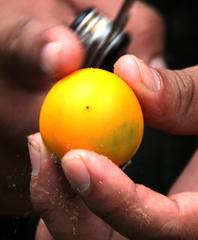 Solanum sessiliflorum