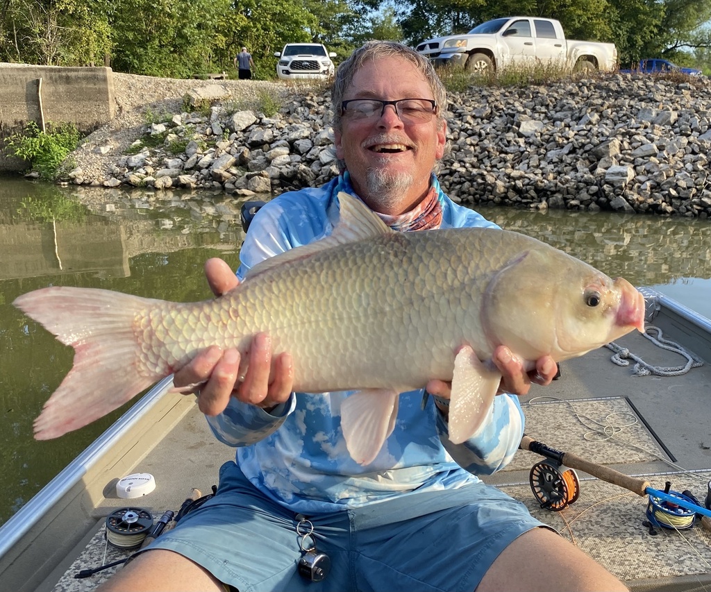 Bigmouth buffalo from county road 103 peach orchard ar us on 12