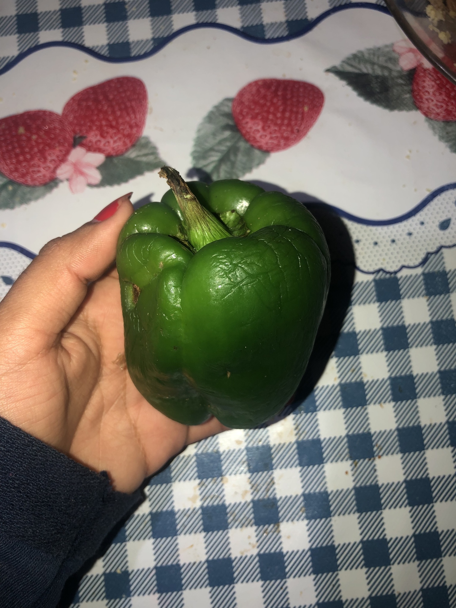 Capsicum annuum