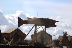 Schoenoplectus californicus