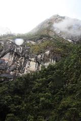 Tillandsia machupicchuensis