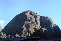 Tillandsia machupicchuensis