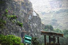 Tillandsia machupicchuensis