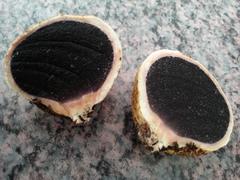 Scleroderma flavidum