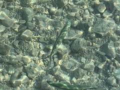 Lake Bleak photo 3