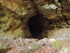 Triphosa haesitata haesitata