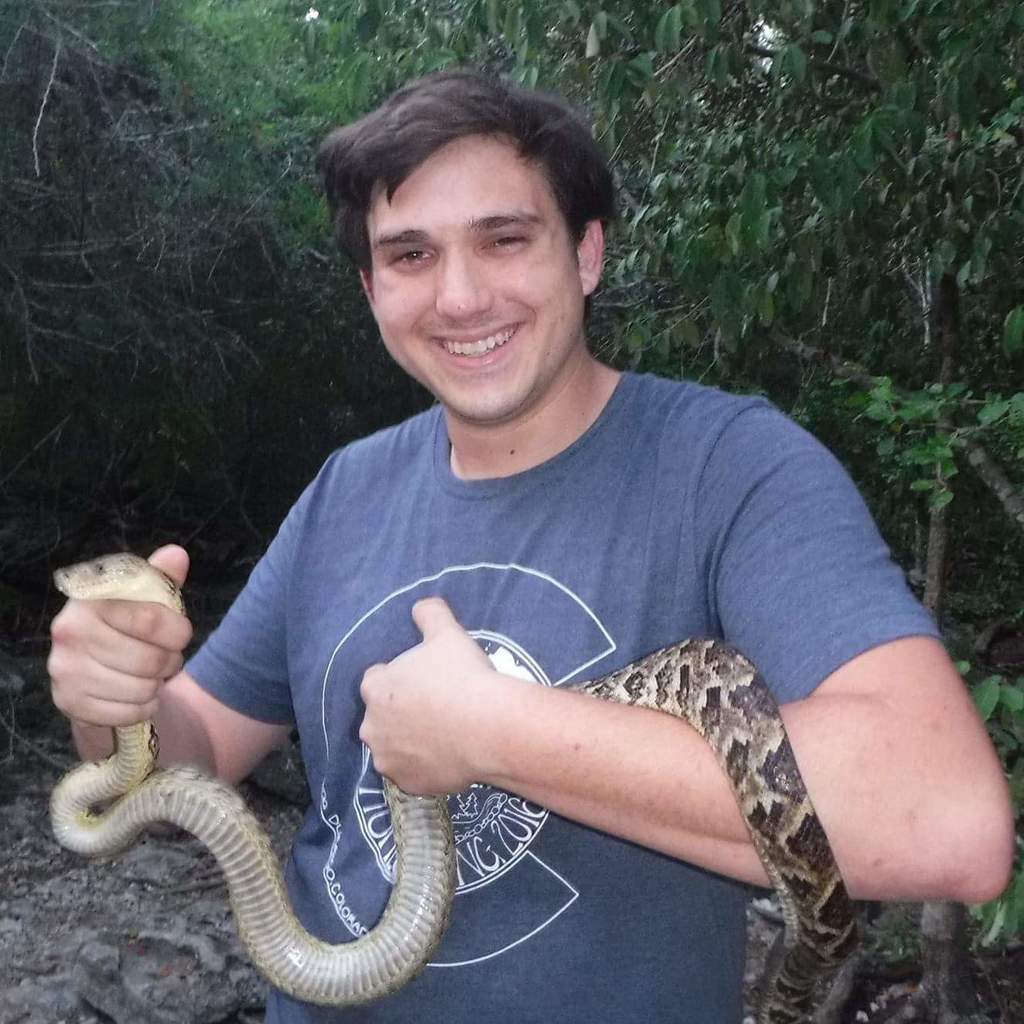 Cuban Boa