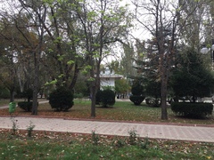 Aesculus hippocastanum