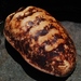 Gumboot Chiton - Photo (c) Alison Victoria Carey, some rights reserved (CC BY-NC), uploaded by Alison Victoria Carey