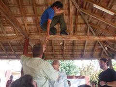 Tropidophis semicinctus