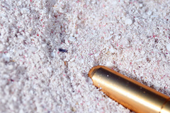 Camachoaglaja berolina