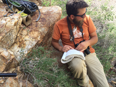 Galium stellatum eremicum