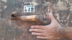 Prosopanche americana