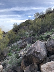 Sonorella superstitionis taylori