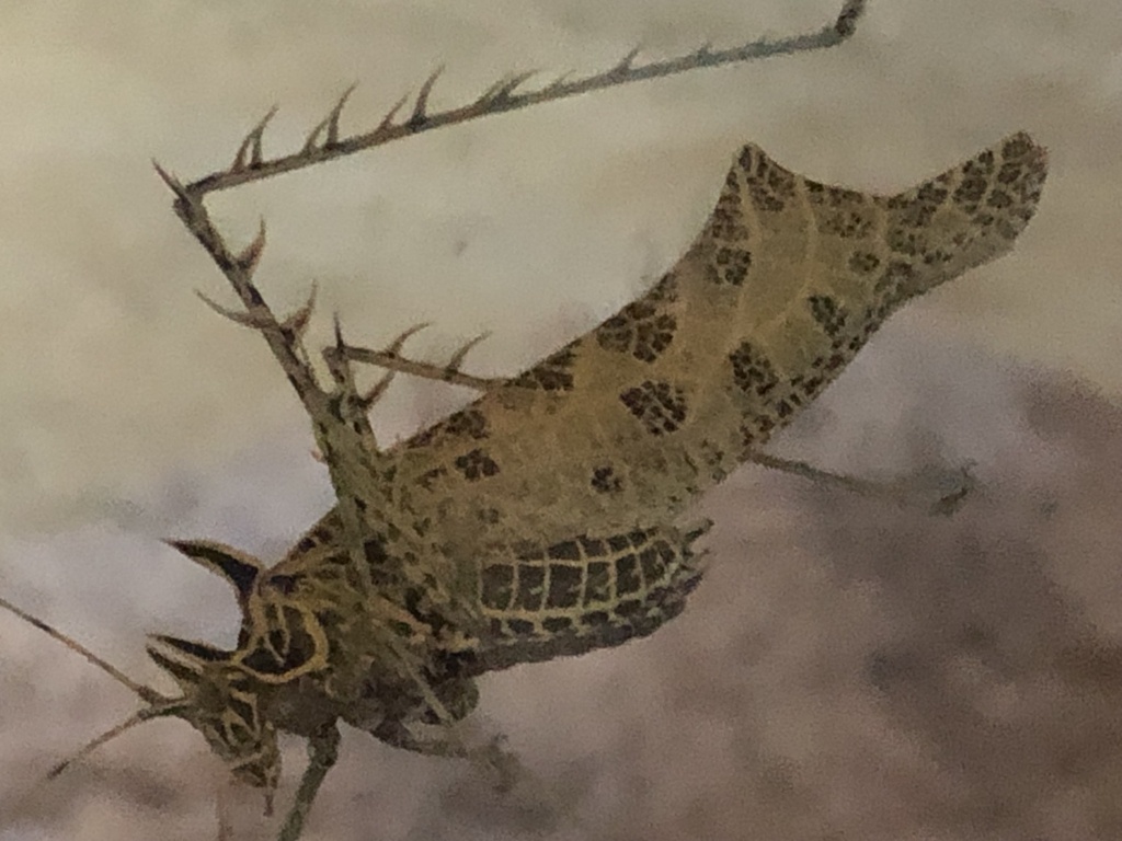 Markia from El Portento, Retiro, Antioquia, CO on August 19, 2023 at 10 ...