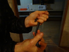 Caecilia orientalis