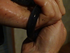 Caecilia orientalis