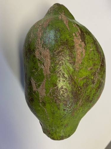 Tontelea passiflora, 2023-08-31