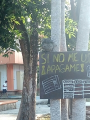 Sciurus yucatanensis