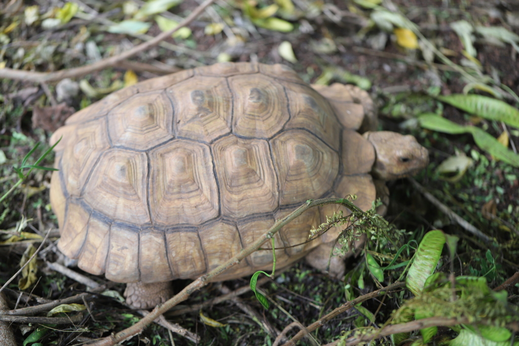 Photo by Marco Schmidt