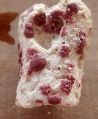 Homotrema rubrum