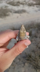 Meroles ctenodactylus