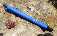 Nerita peloronta