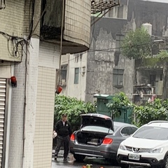 Nycticorax nycticorax