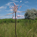 Allium podolicum - Photo (c) Sergey Mayorov,  זכויות יוצרים חלקיות (CC BY-NC), הועלה על ידי Sergey Mayorov