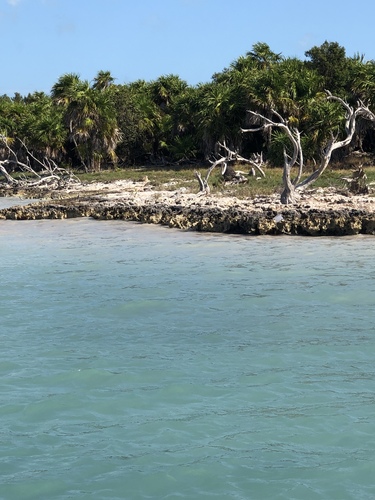 Cayo Ávalos