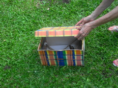 Lagonosticta senegala rendalli