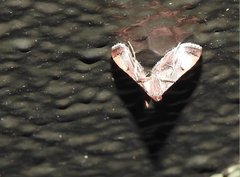 Endotricha theonalis