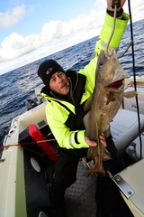 Atlantic Cod