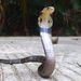 Chinese Cobra - Photo (c) ong-siau-kun, some rights reserved (CC BY-NC), uploaded by ong-siau-kun
